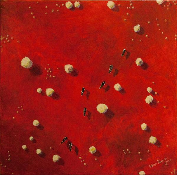 lost cows, aerial landscape, pete martin