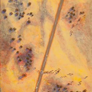australian, australian landscape, pete martin, cows, old roads and tall stories
