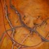 land use, aerial landscape, pete martin, face, contours, pete martin